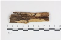 登錄號:F0035816藏品圖，第1張