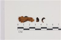 登錄號:F0035819藏品圖，第1張