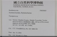 登錄號:F0035820藏品圖，第2張