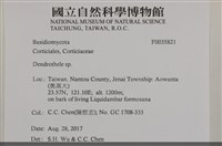 登錄號:F0035821藏品圖，第2張