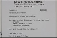 登錄號:F0035823藏品圖，第2張