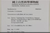 登錄號:F0035824藏品圖，第2張