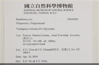 登錄號:F0035825藏品圖，第2張