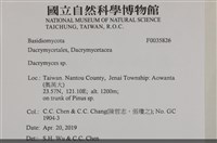花耳屬藏品圖，第2張