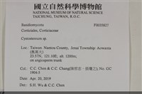 登錄號:F0035827藏品圖，第2張