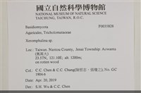 登錄號:F0035828藏品圖，第2張