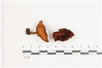 登錄號:F0035828藏品圖，第1張