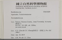 館號:F0035829藏品圖，第2張