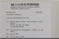 登錄號:F0035830藏品圖，第2張