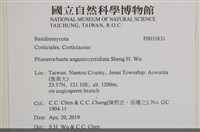 登錄號:F0035831藏品圖，第2張