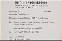 登錄號:F0035833藏品圖，第2張