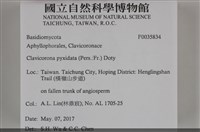登錄號:F0035834藏品圖，第2張
