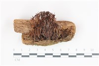 登錄號:F0035834藏品圖，第1張
