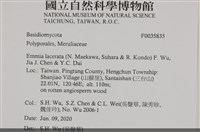 登錄號:F0035835藏品圖，第2張