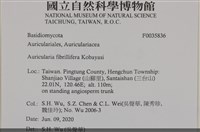 登錄號:F0035836藏品圖，第2張