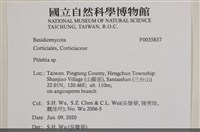 射脈菌屬藏品圖，第2張