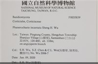 登錄號:F0035839藏品圖，第2張