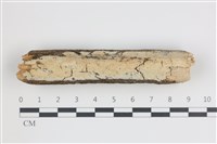 登錄號:F0035840藏品圖，第1張