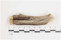 登錄號:F0035841藏品圖，第1張