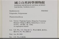 登錄號:F0035842藏品圖，第2張