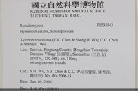 登錄號:F0035843藏品圖，第2張