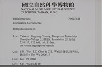 登錄號:F0035845藏品圖，第2張