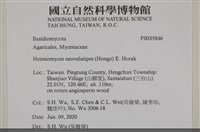 館號:F0035846藏品圖，第2張
