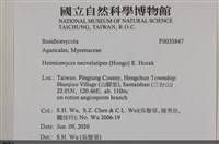 登錄號:F0035847藏品圖，第2張