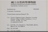 登錄號:F0035849藏品圖，第2張