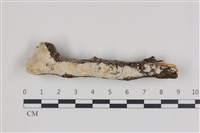 登錄號:F0035852藏品圖，第1張