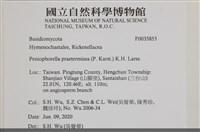 登錄號:F0035853藏品圖，第2張