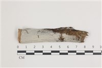 登錄號:F0035853藏品圖，第1張