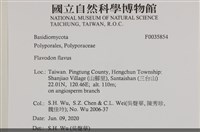 登錄號:F0035854藏品圖，第2張