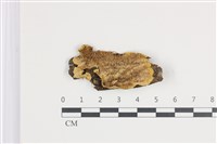 登錄號:F0035854藏品圖，第1張