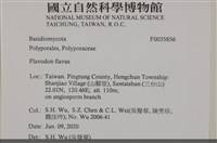 登錄號:F0035856藏品圖，第2張