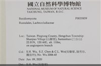 登錄號:F0035859藏品圖，第2張
