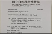 登錄號:F0035861藏品圖，第2張