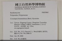 登錄號:F0035862藏品圖，第2張