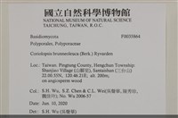 登錄號:F0035864藏品圖，第2張