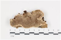 登錄號:F0035864藏品圖，第1張
