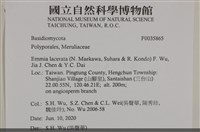 登錄號:F0035865藏品圖，第2張
