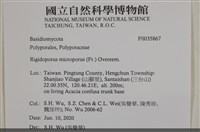 登錄號:F0035867藏品圖，第2張