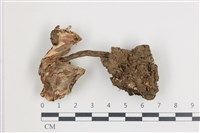 登錄號:F0035867藏品圖，第1張