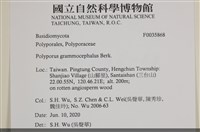 登錄號:F0035868藏品圖，第2張