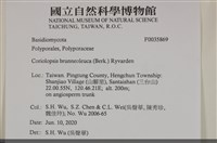 登錄號:F0035869藏品圖，第2張