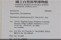 登錄號:F0035871藏品圖，第2張