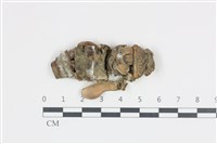 登錄號:F0035871藏品圖，第1張