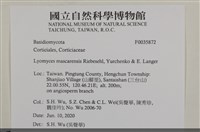 登錄號:F0035872藏品圖，第2張