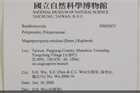 登錄號:F0035873藏品圖，第2張