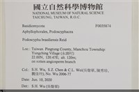 館號:F0035874藏品圖，第2張